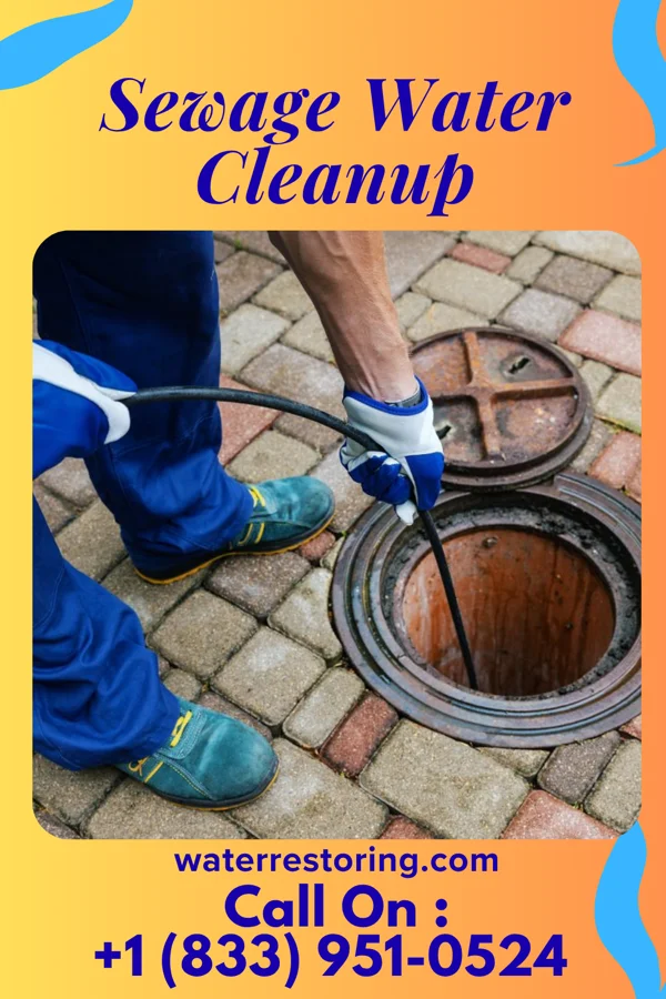 Sewage Water Cleanup in Hanley Hills, MO