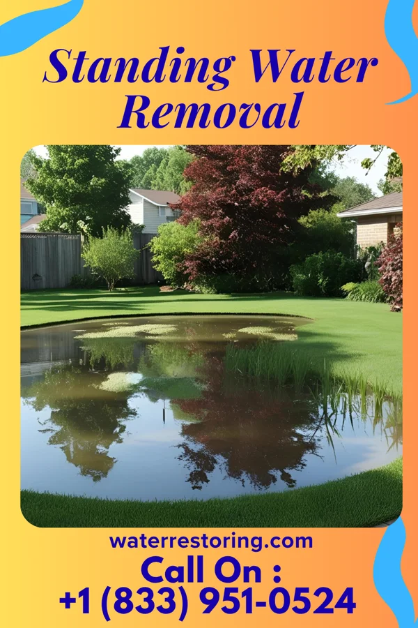 Standing Water Removal in Hanley Hills, MO